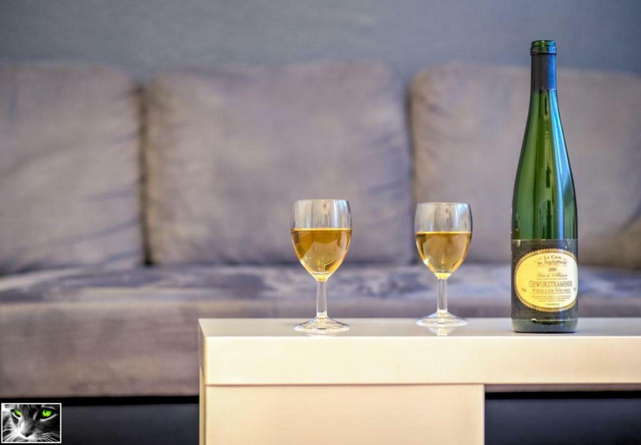 Appartement Spacieux Schiltigheim Exteriér fotografie