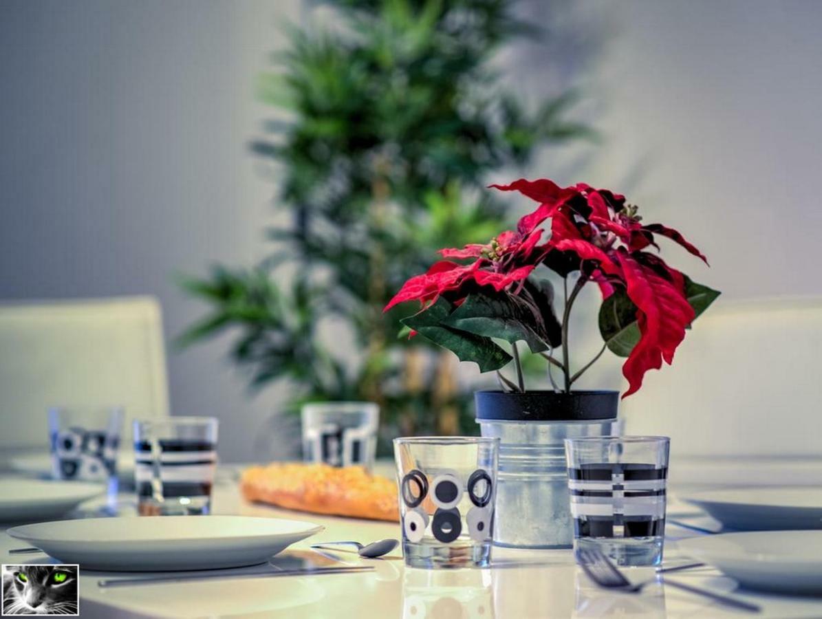 Appartement Spacieux Schiltigheim Exteriér fotografie