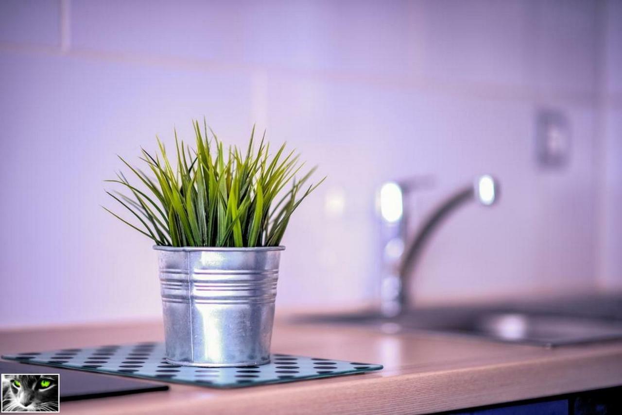 Appartement Spacieux Schiltigheim Exteriér fotografie