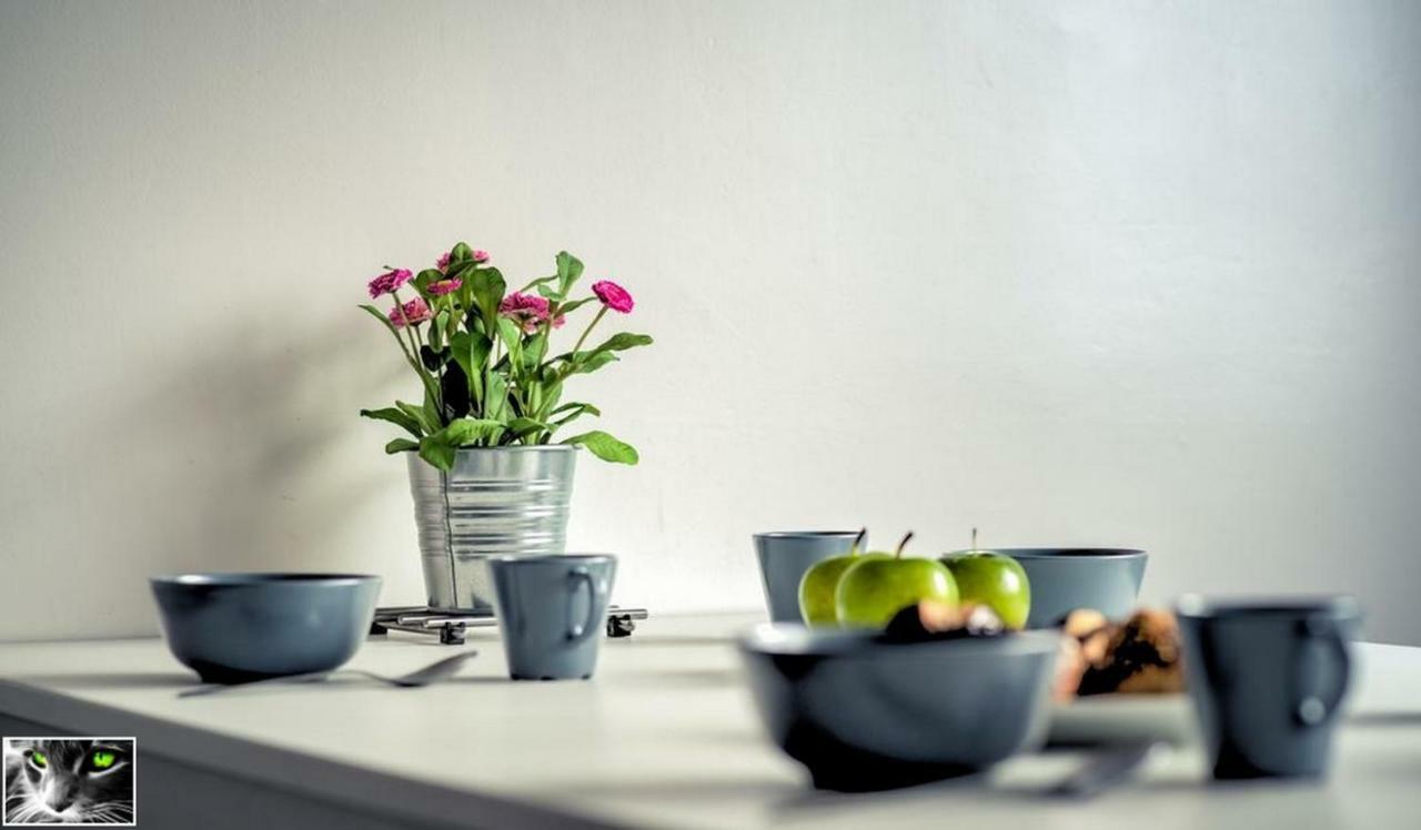Appartement Spacieux Schiltigheim Exteriér fotografie